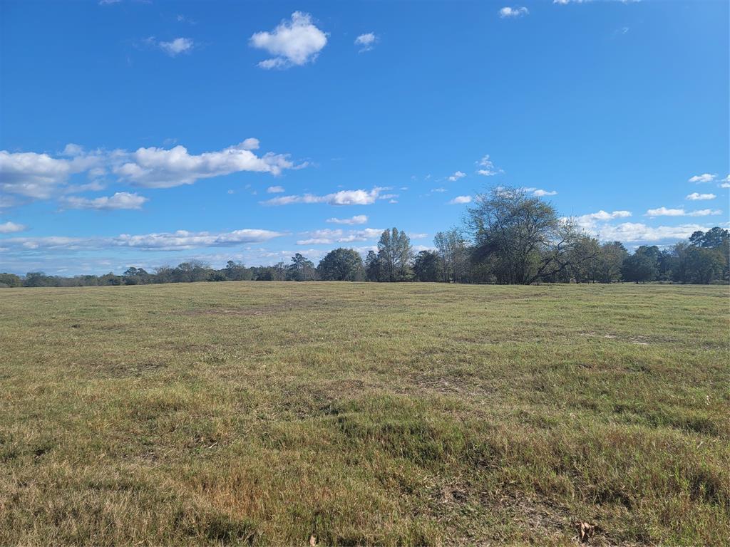 12403 FM 1975 - Photo 2