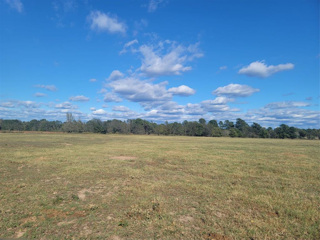 12403 FM 1975 - Photo 4