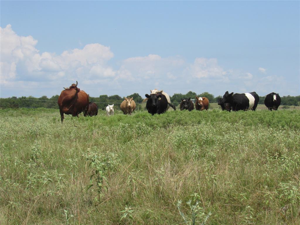 2464 County Rd 1245 - Photo 9