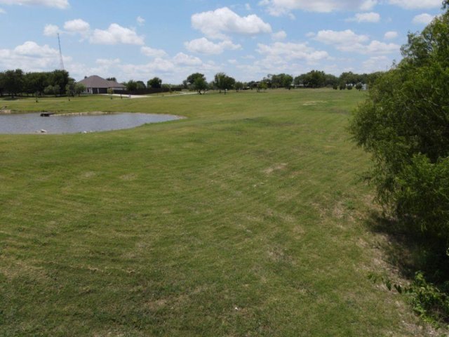 Photo 29