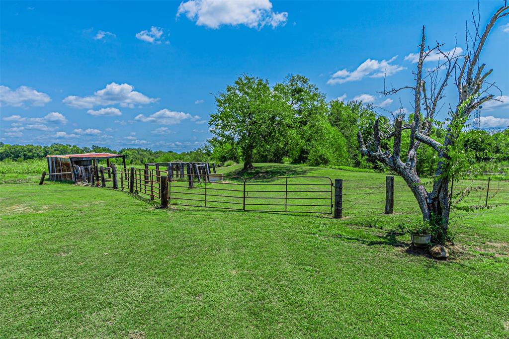 268 VZ County Road 3416 - Photo 7