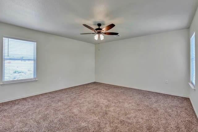 4036 Tarpon Springs Drive - Photo 13