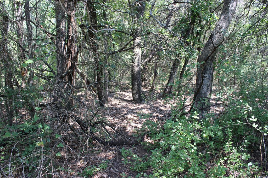 24042 Stonewood Drive - Photo 4