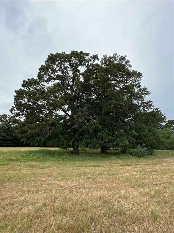 000 County Road 3512 - Photo 1