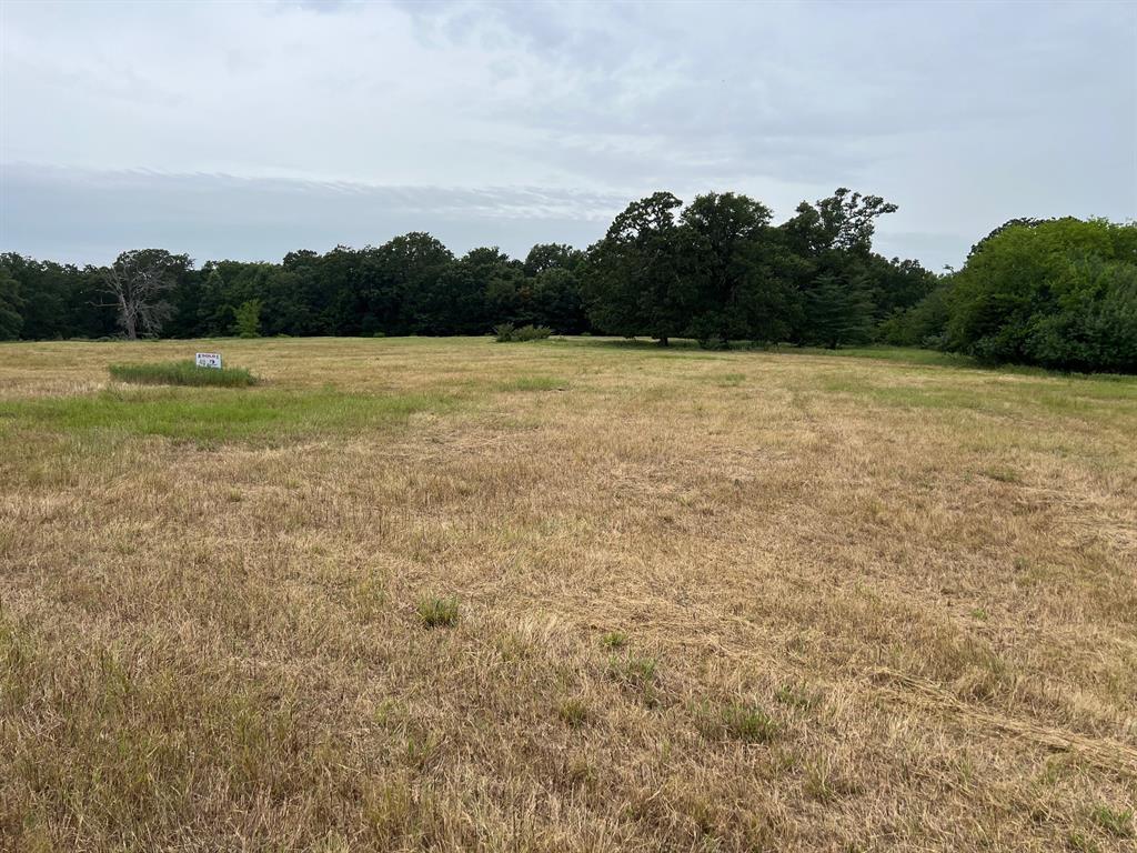 000 County Road 3512 - Photo 5