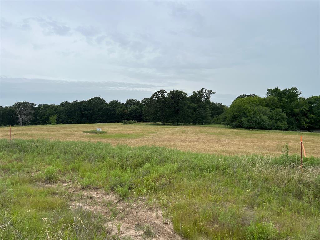 000 County Road 3512 - Photo 6