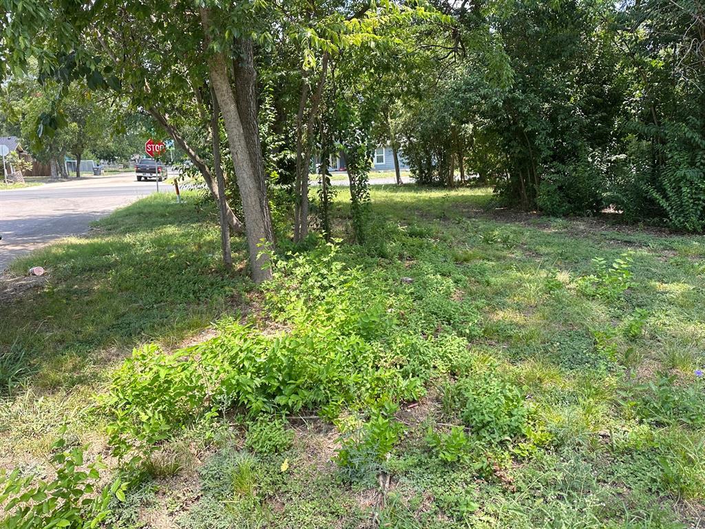 2504 McKenzie Avenue - Photo 3