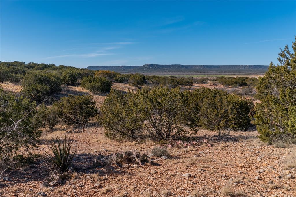 T2 County Road 175 - Photo 10