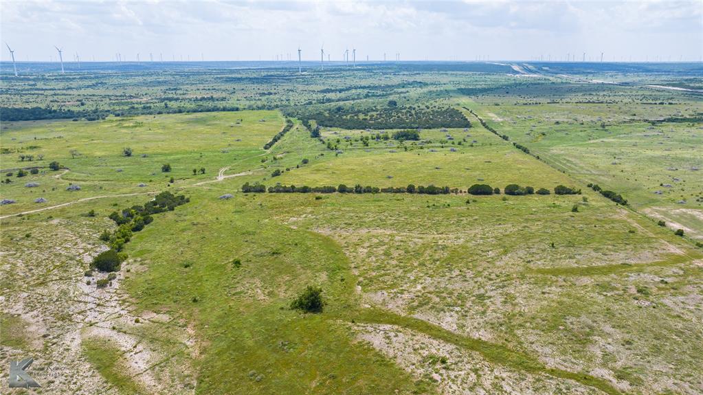 3402 County Road 196 - Photo 12