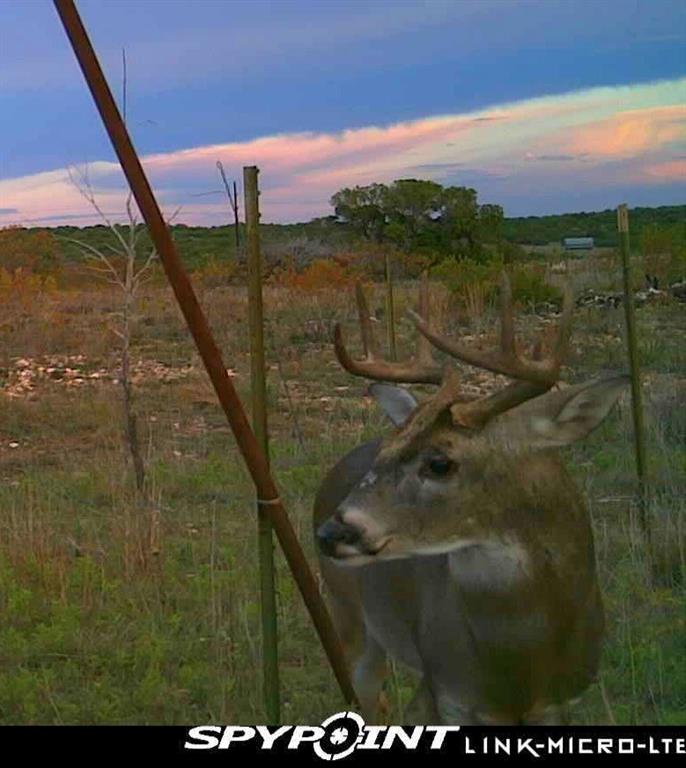 3402 County Road 196 - Photo 4