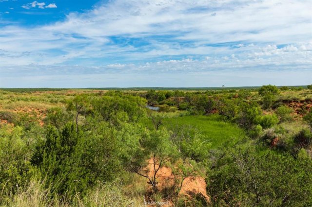 Photo 33