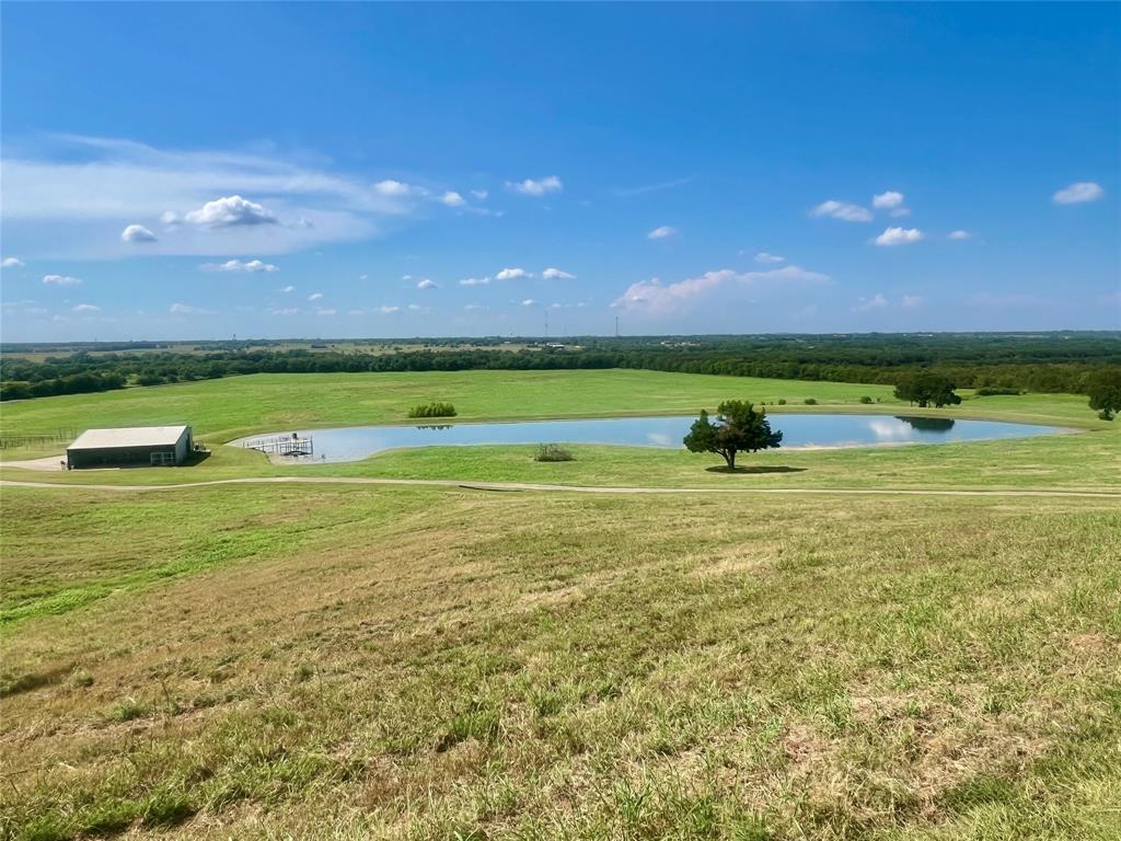 88.46 acres Parker Hill Road - Photo 11