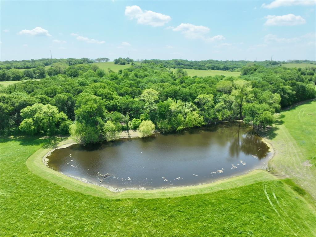 88.46 acres Parker Hill Road - Photo 17
