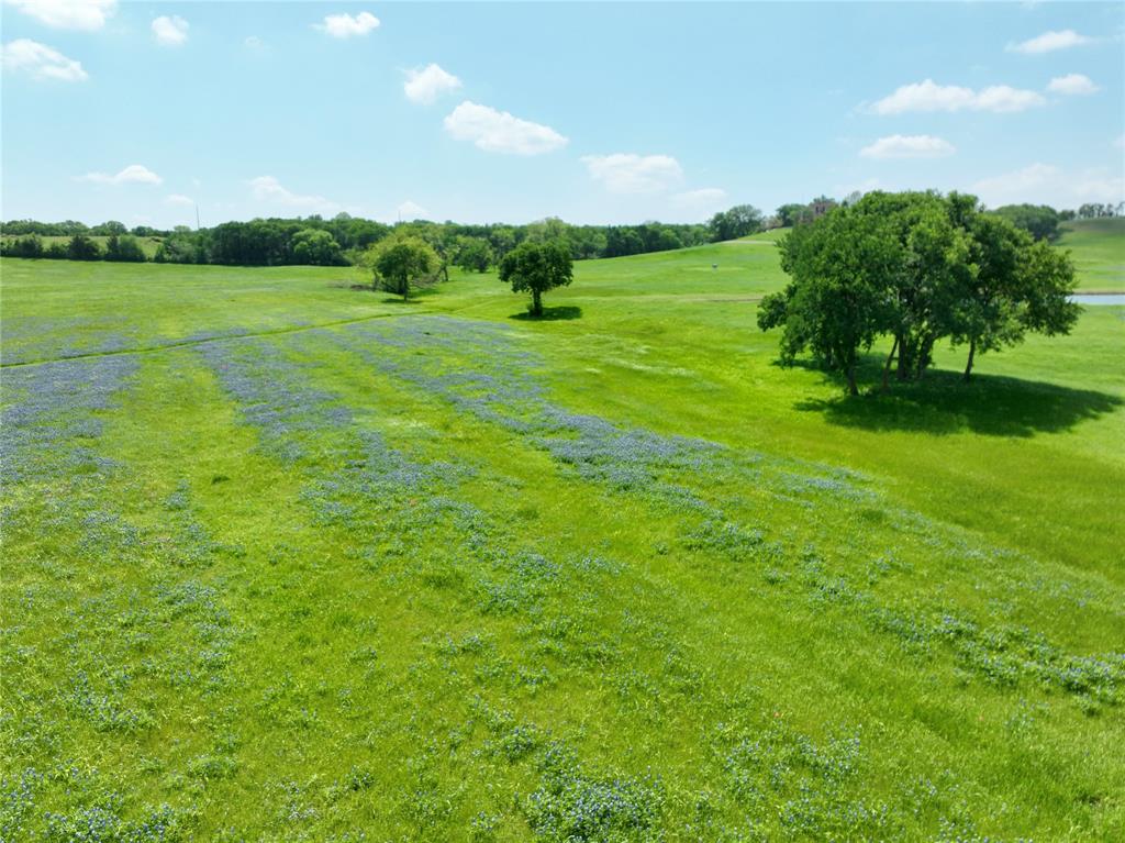 88.46 acres Parker Hill Road - Photo 21