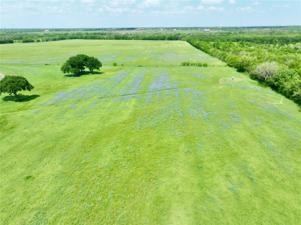 88.46 acres Parker Hill Road - Photo 22
