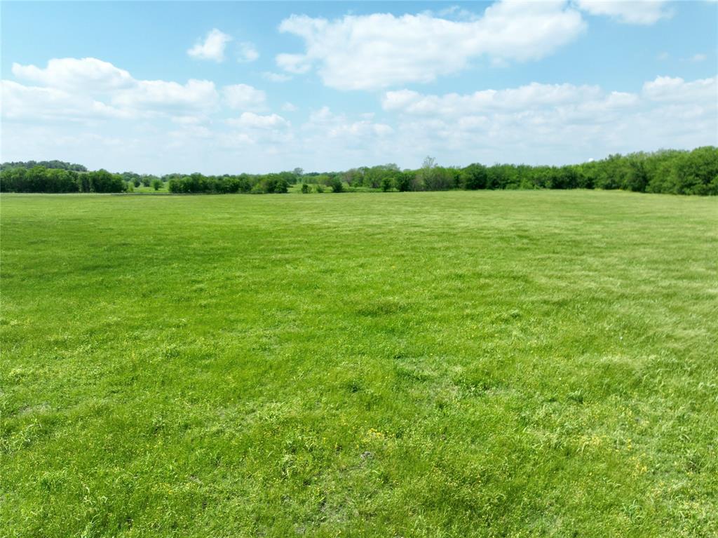 88.46 acres Parker Hill Road - Photo 29