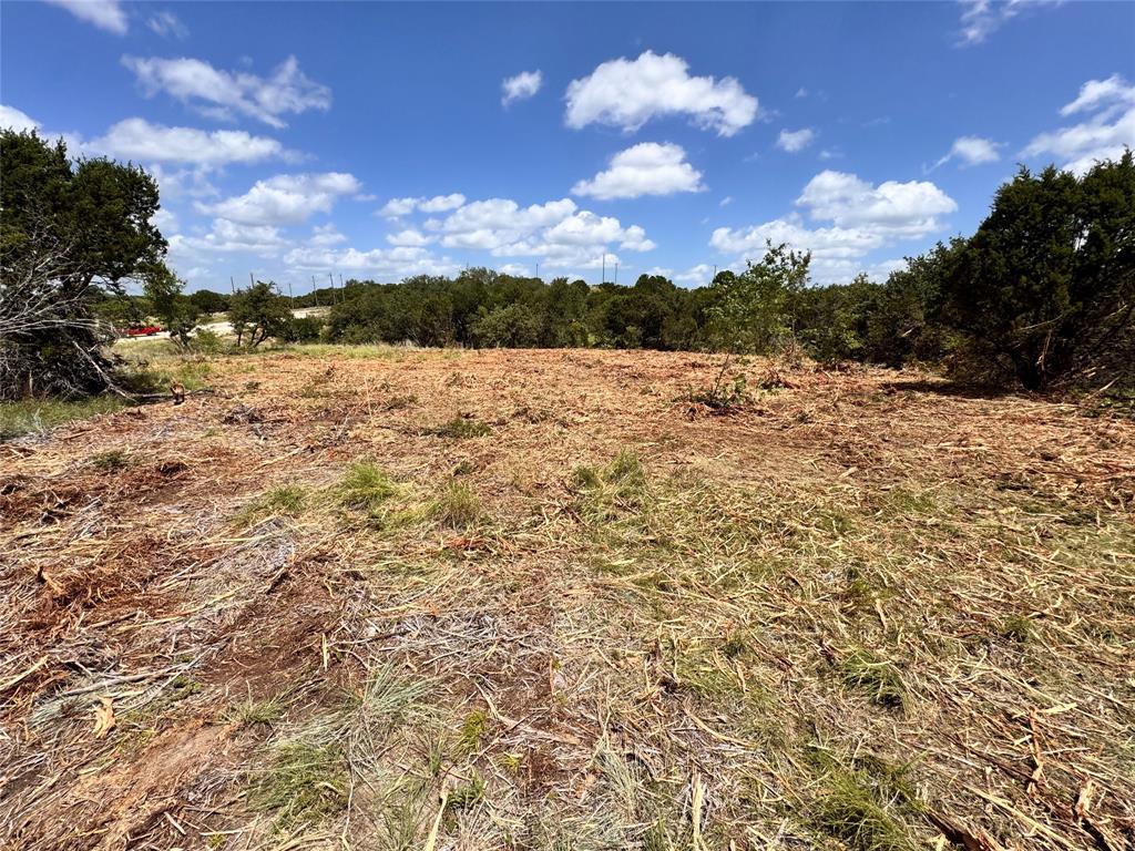 1209 County Road 407A - Photo 5