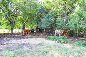 2215 Denver Road - Photo 22
