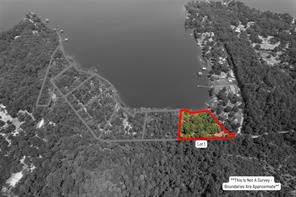 TBD PR 52447 - Photo 4