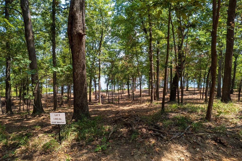 TBD Private Road 52447 - Photo 1