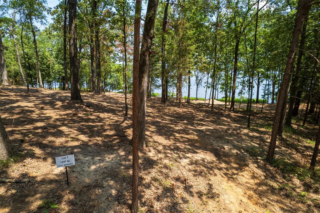 TBD Pr Rd52447 - Photo 1