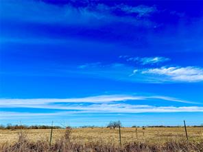 6 ac. Tract 3 LCR 131 - Photo 8