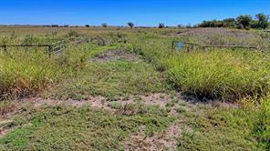 TBD Dunn Road - Photo 12