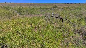 TBD Dunn Road - Photo 17