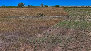 TBD Dunn Road - Photo 8