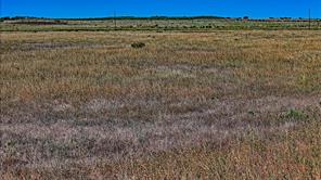 TBD Dunn Road - Photo 9
