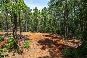 1249 County Road 4102 - Photo 15