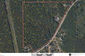 1249 County Road 4102 - Photo 19