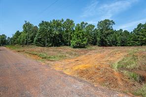 1249 County Road 4102 - Photo 6