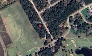 31005 Doe Run Court - Photo 2