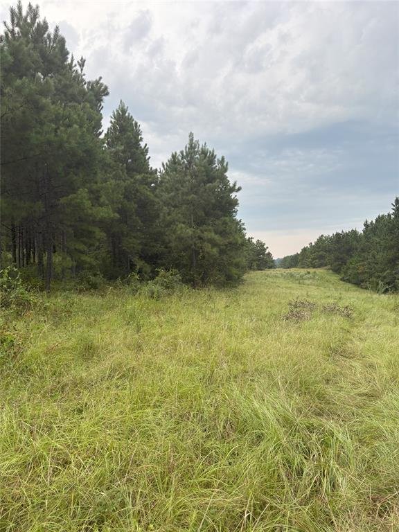 1388 County Road 1060