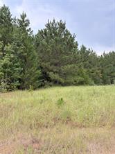 1388 County Road 1060 - Photo 10
