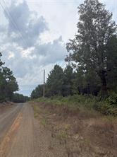 1388 County Road 1060 - Photo 2