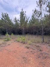 1388 County Road 1060 - Photo 3