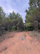 1388 County Road 1060 - Photo 4