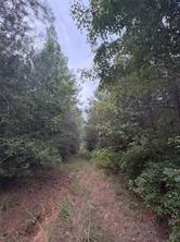 1388 County Road 1060 - Photo 5