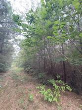 1388 County Road 1060 - Photo 6