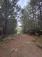 1388 County Road 1060 - Photo 7