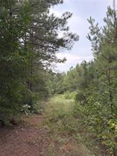 1388 County Road 1060 - Photo 8