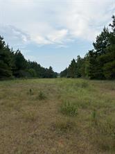 1388 County Road 1060 - Photo 9