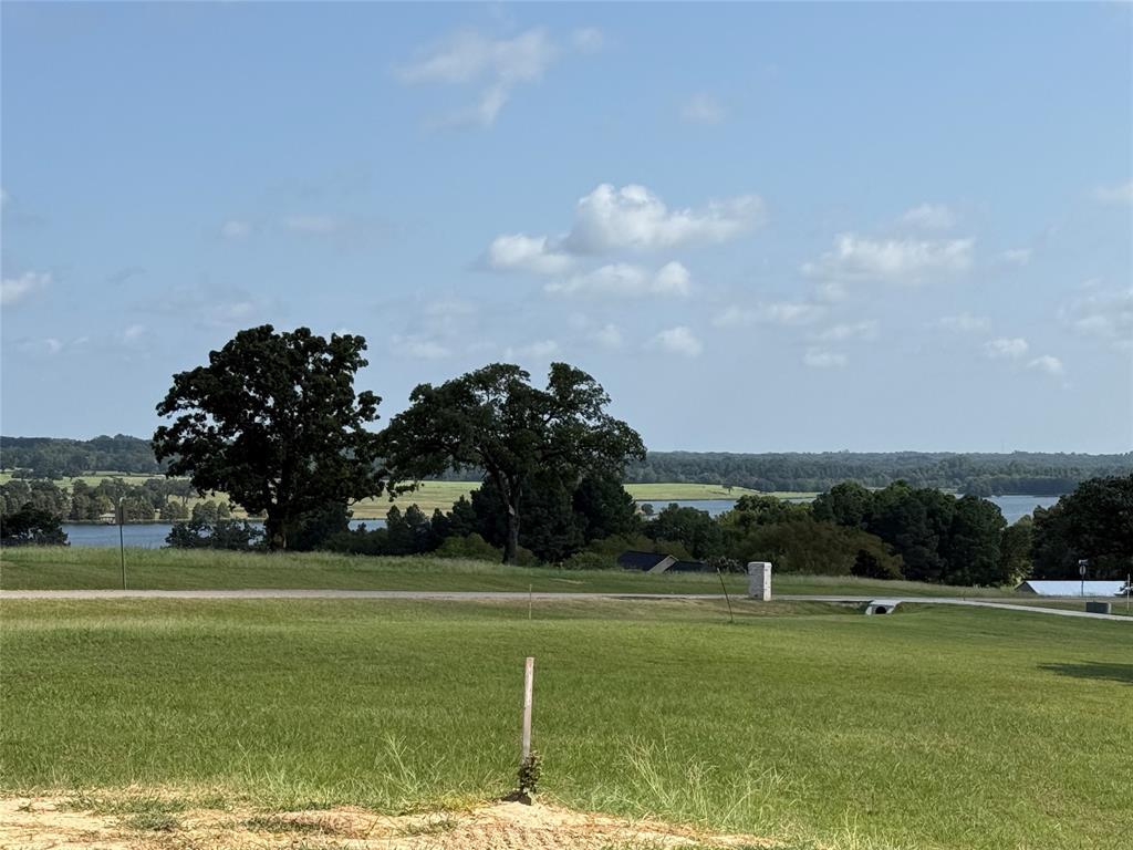Lot 272 High Point Court - Photo 5