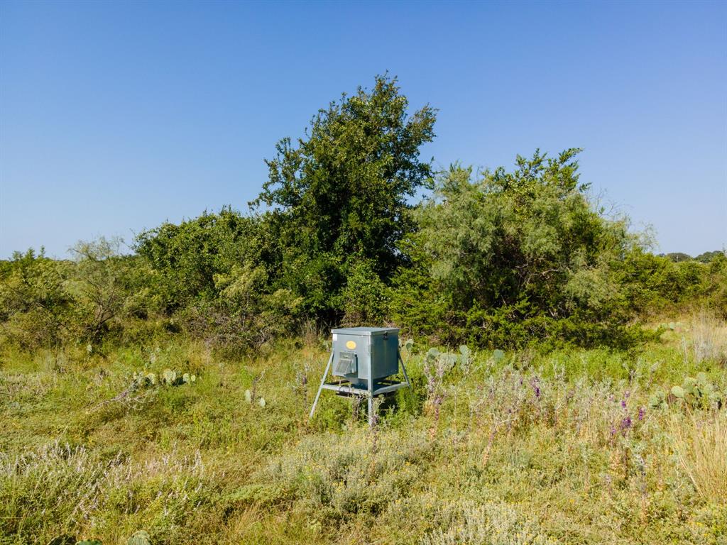 0 County Road 1276 - Photo 1