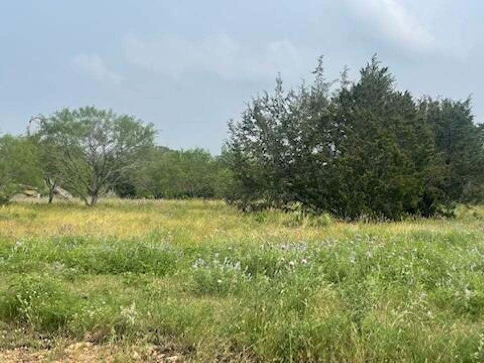 Lot 175 Heartleaf Drive - Photo 1