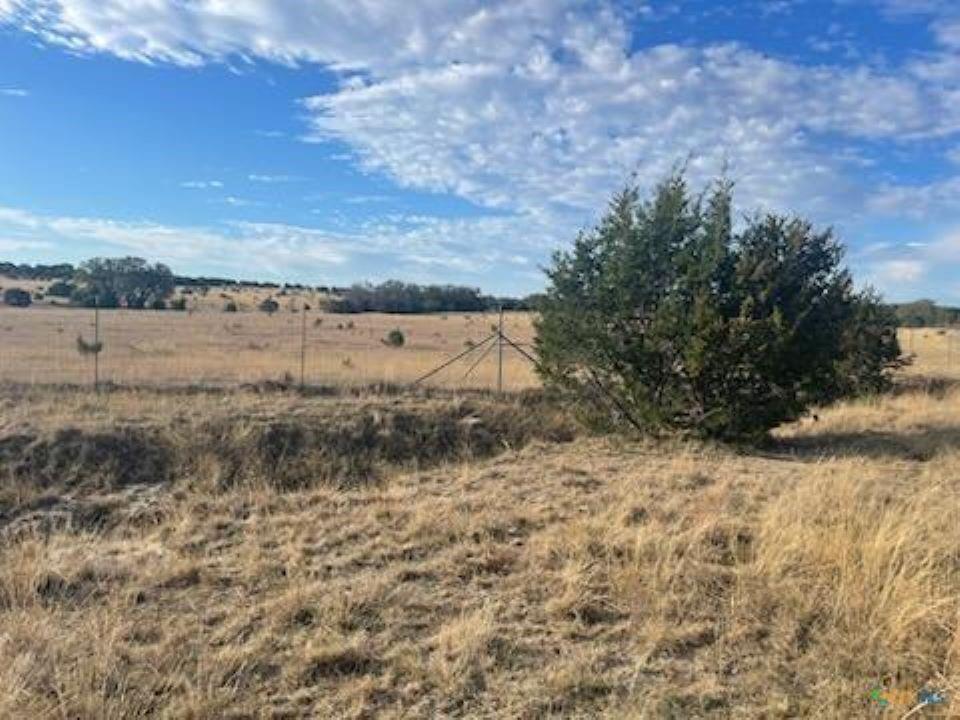 Lot 175 Heartleaf Drive - Photo 12
