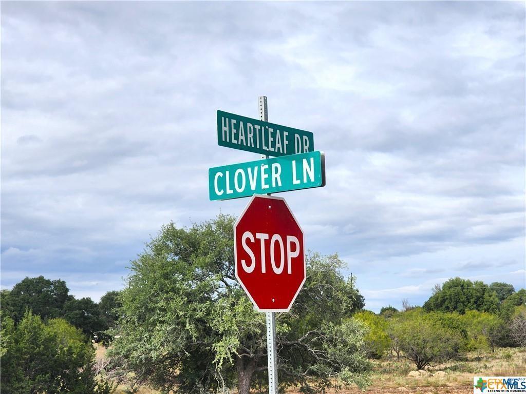 Lot 175 Heartleaf Drive - Photo 4