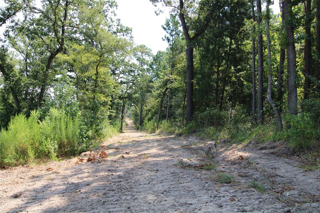 6935 U.S. Highway 175 W - Photo 10